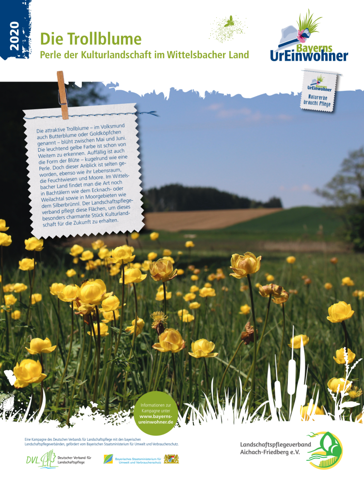Bild 09